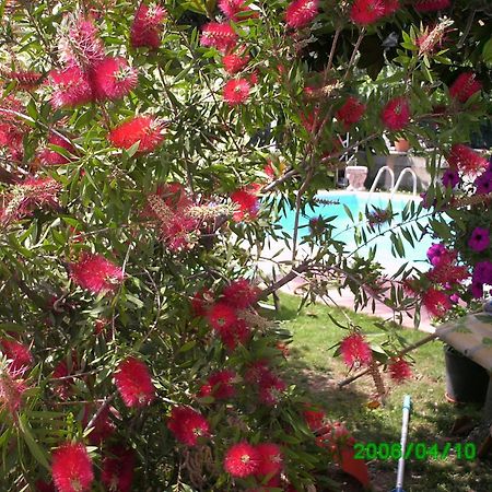 B&B Desenzano Desenzano del Garda Ngoại thất bức ảnh