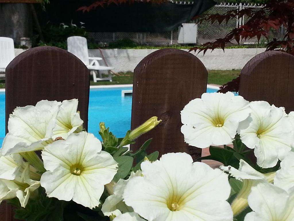 B&B Desenzano Desenzano del Garda Ngoại thất bức ảnh