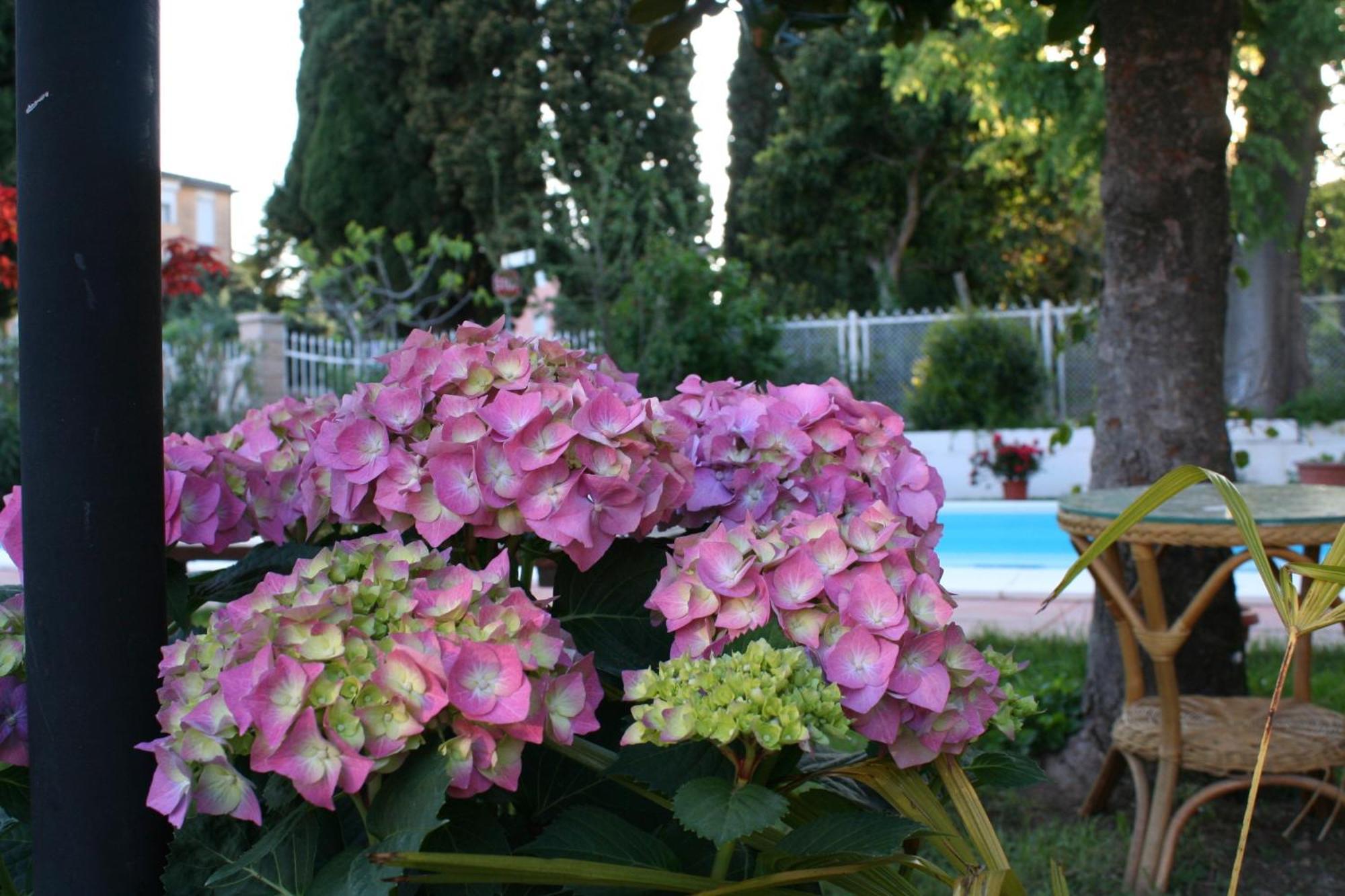 B&B Desenzano Desenzano del Garda Ngoại thất bức ảnh