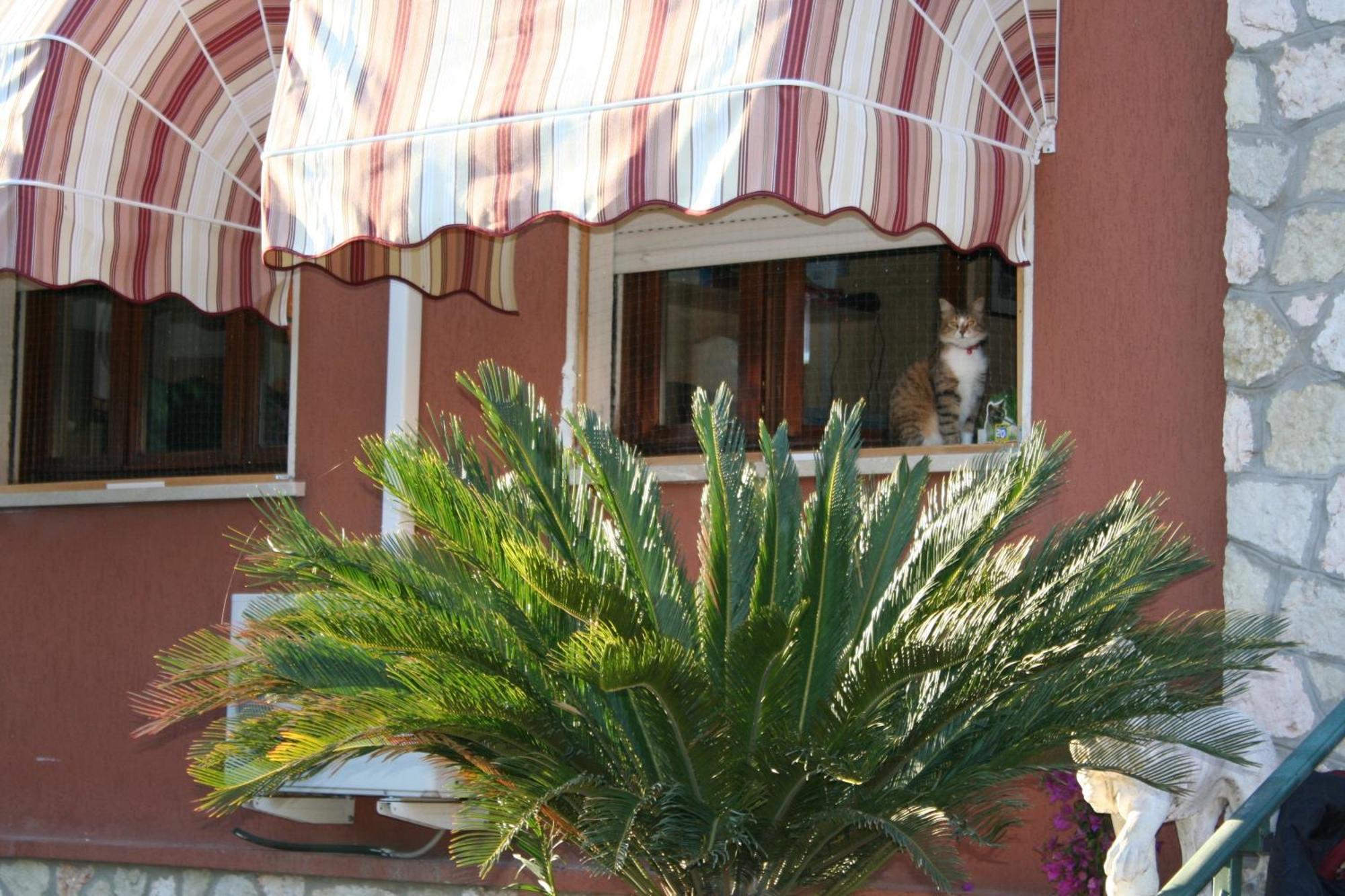 B&B Desenzano Desenzano del Garda Ngoại thất bức ảnh