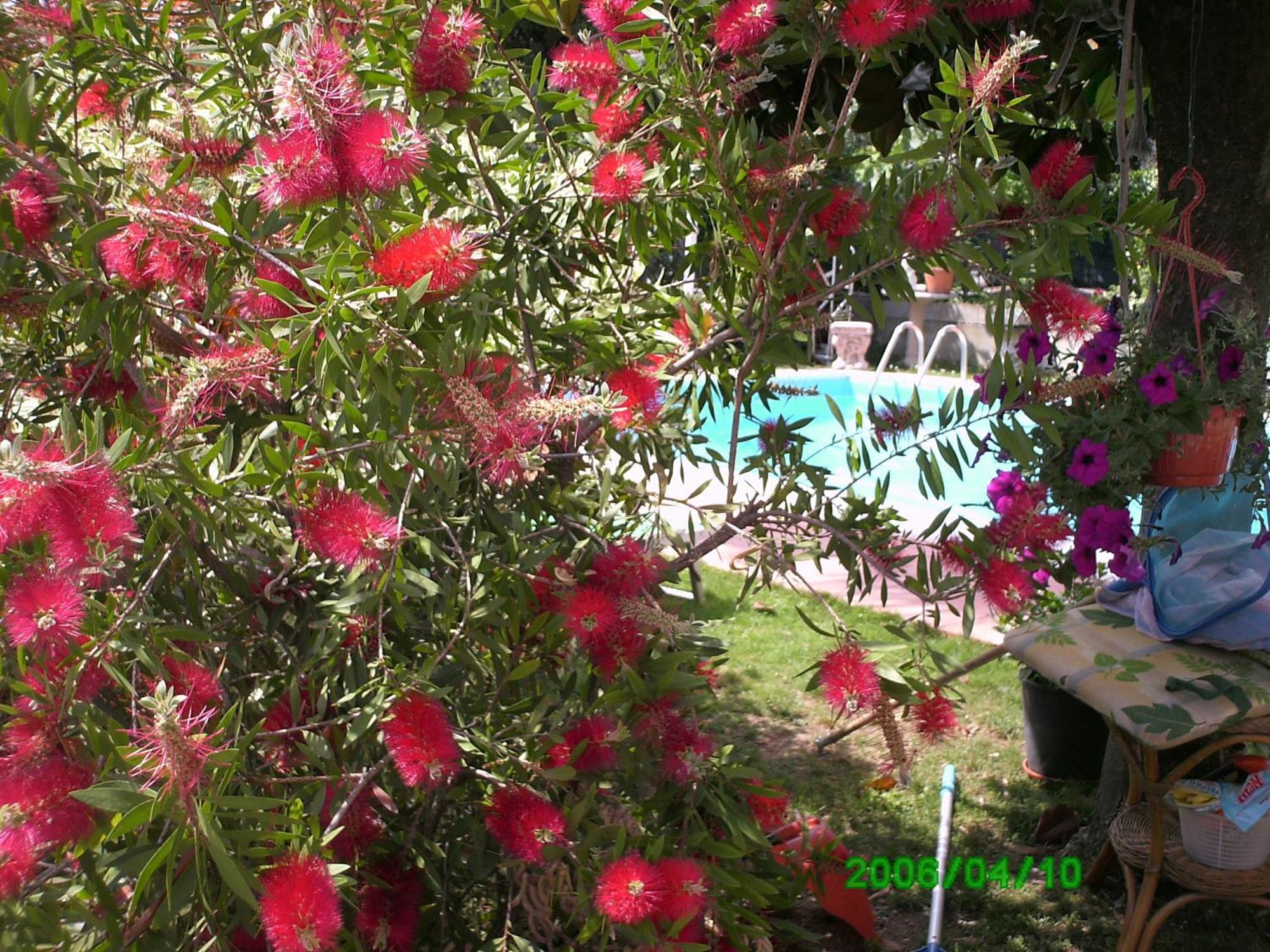 B&B Desenzano Desenzano del Garda Ngoại thất bức ảnh