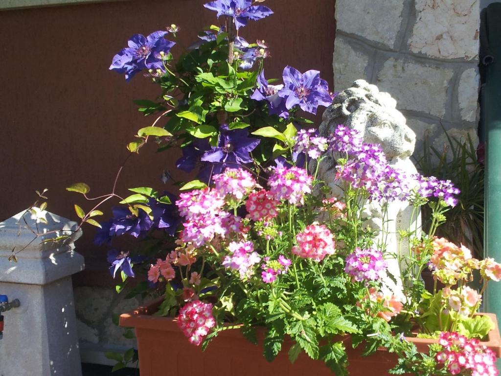 B&B Desenzano Desenzano del Garda Ngoại thất bức ảnh